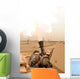 M120 Mortar System Is Wall Decal