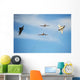 F-22 Raptor F-86 Sabre Wall Decal