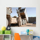 Shipping Container Is Off-loaded Wall Decal