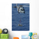 Mh-60s Knighthawk Transports Supplies Wall Decal