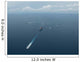 Carrier Strike Group Formation Wall Decal Design 1
