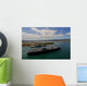 Uss Carl Vinson Passes Wall Decal