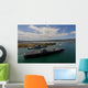 Uss Carl Vinson Passes Wall Decal