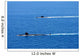 Attack Submarine Uss Alexandria Wall Decal