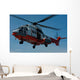 Hong Kong Government Flying Wall Decal
