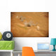 Dust Rises from Impact Wall Decal