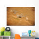 Dust Rises from Impact Wall Decal