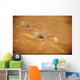 Dust Rises from Impact Wall Decal