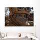 Us Marine Covered Dirt Wall Decal