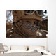 Us Marine Covered Dirt Wall Decal