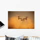 Mv-22 Osprey Aircraft Blows Wall Decal