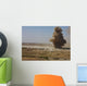 Cloud Dust and Debris Wall Decal