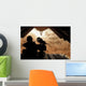 Marine Waits for Dust Wall Decal