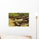 Us Navy Midshipman Crawls Wall Decal