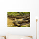 Us Navy Midshipman Crawls Wall Decal