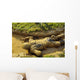 Us Navy Midshipman Crawls Wall Decal