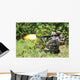 Soldiers from Croatian Army Wall Decal