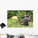 Soldiers from Croatian Army Wall Decal