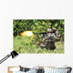 Soldiers from Croatian Army Wall Decal