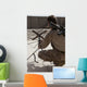 Us Marine Repositions Satellite Wall Decal