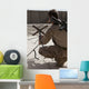 Us Marine Repositions Satellite Wall Decal