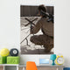 Us Marine Repositions Satellite Wall Decal