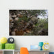 Provincial Reconstruction Team Kapisa's Wall Decal