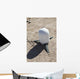 Meteorological Satellite Sub-system Antenna Wall Decal