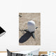 Meteorological Satellite Sub-system Antenna Wall Decal