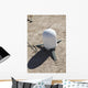 Meteorological Satellite Sub-system Antenna Wall Decal