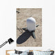 Meteorological Satellite Sub-system Antenna Wall Decal