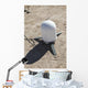 Meteorological Satellite Sub-system Antenna Wall Decal
