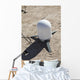 Meteorological Satellite Sub-system Antenna Wall Decal