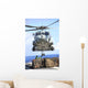 Hh-60h Sea Hawk Helicopter Wall Decal