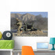 Us Army Soldier Fires Wall Decal