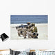 Navy Seals Participate Capabilities Wall Decal