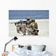 Navy Seals Participate Capabilities Wall Decal