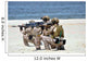 Navy Seals Participate Capabilities Wall Decal