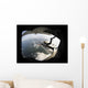 Pararescuemen Jumps from Hc-130p Wall Decal