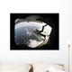 Pararescuemen Jumps from Hc-130p Wall Decal