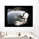 Pararescuemen Jumps from Hc-130p Wall Decal