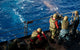 Sailors Fire M240 Machine Wall Decal Design 1