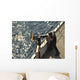 Seaman Fires 50-caliber Machine Wall Decal