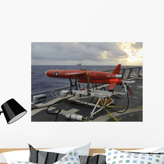Bqm-74e Drone Prepares to Wall Decal