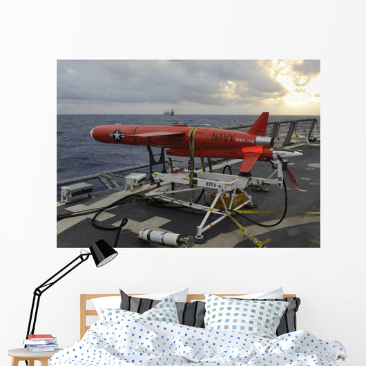 Bqm-74e Drone Prepares to Wall Decal