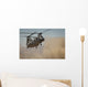 Us Marine Corps Ch-46e Wall Decal