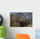 Soldier Demonstrates How Camouflaged Wall Decal