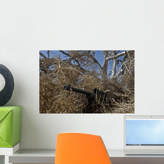 Soldier Demonstrates How Camouflaged Wall Decal