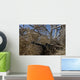 Soldier Demonstrates How Camouflaged Wall Decal