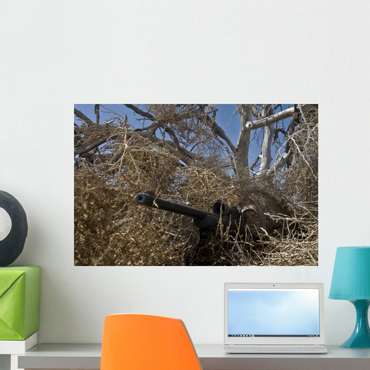Soldier Demonstrates How Camouflaged Wall Decal